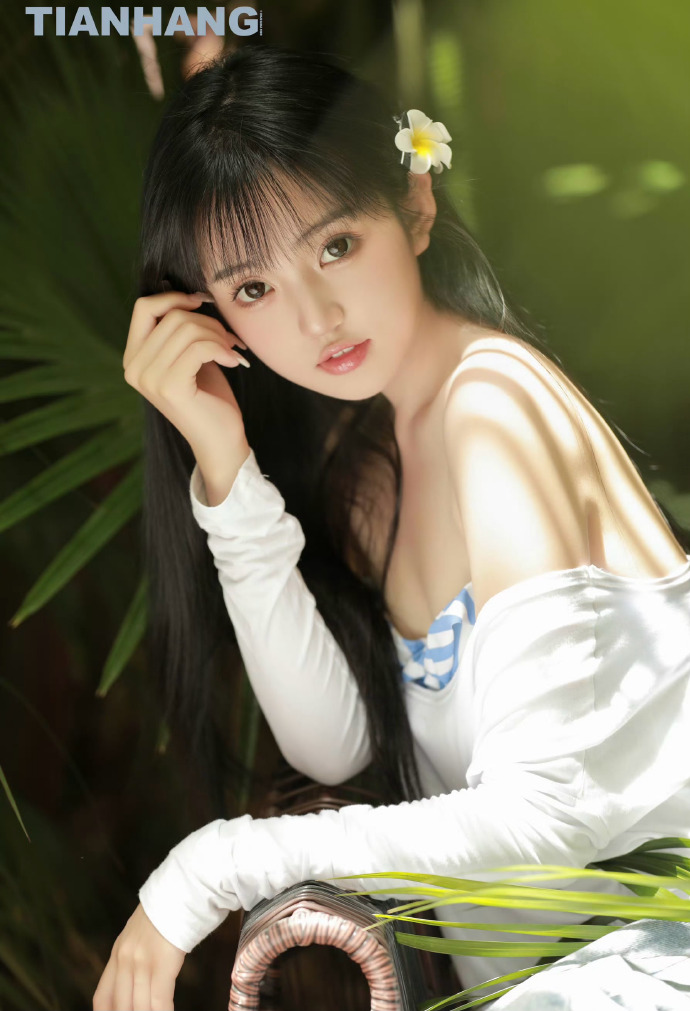 大明王朝1566